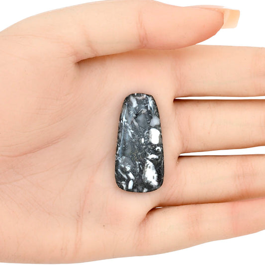 Orthoceras 34.25x17.1x4 mm Fancy Gemstone LS02803-44