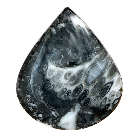 Orthoceras 28.5x24.6x6 mm Heart Gemstone LS02804-44