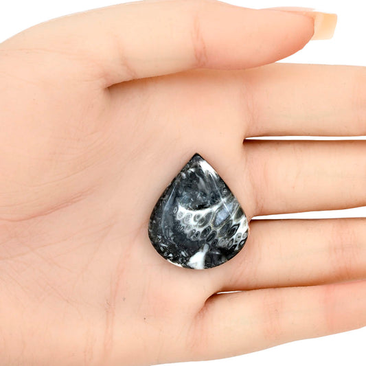 Orthoceras 28.5x24.6x6 mm Heart Gemstone LS02804-44