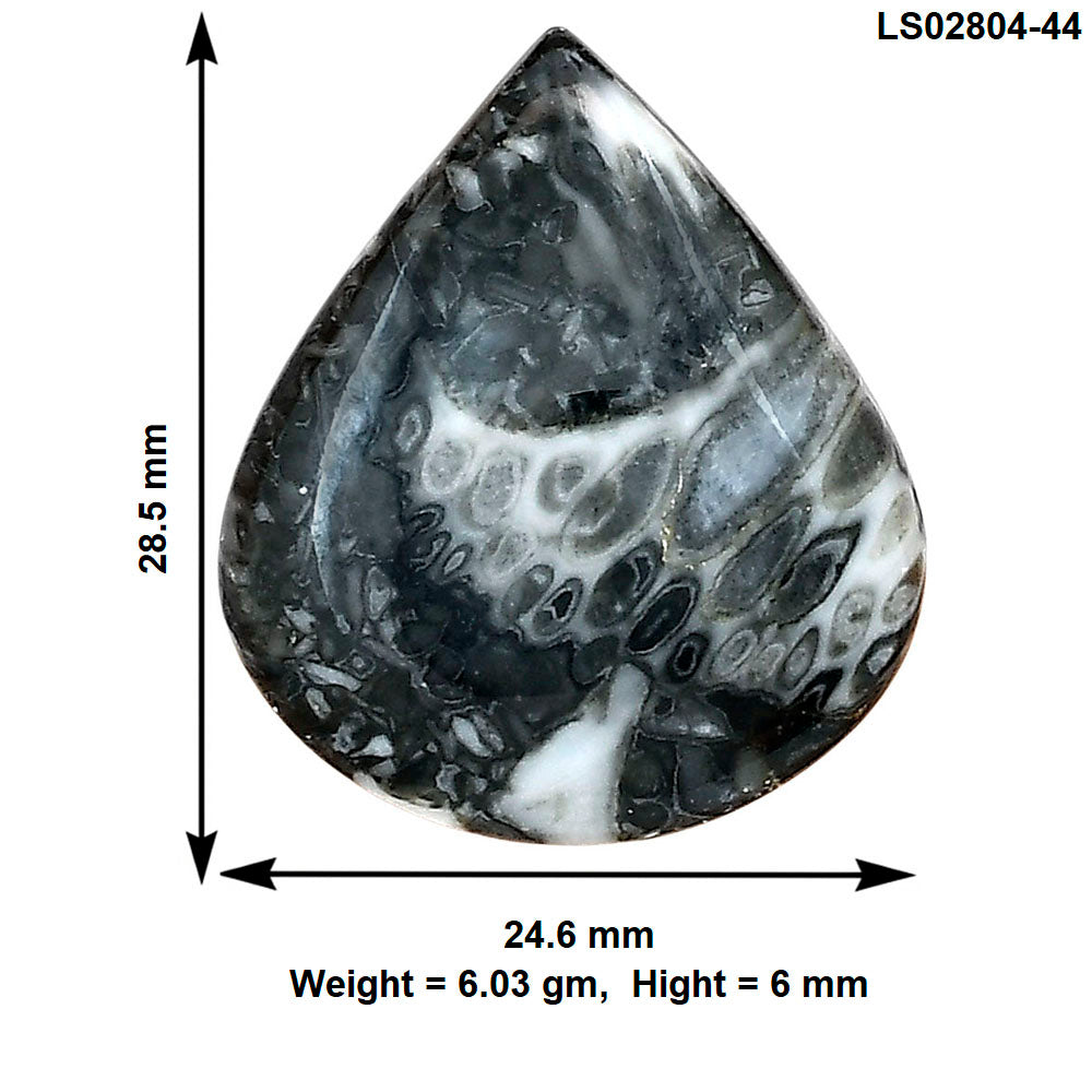 Orthoceras 28.5x24.6x6 mm Heart Gemstone LS02804-44
