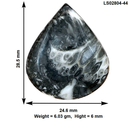 Orthoceras 28.5x24.6x6 mm Heart Gemstone LS02804-44