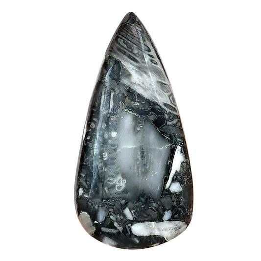 Orthoceras 37.85x19.1x5.5 mm Pear Gemstone LS02805-44
