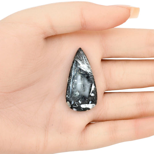 Orthoceras 37.85x19.1x5.5 mm Pear Gemstone LS02805-44