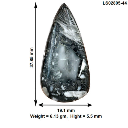 Orthoceras 37.85x19.1x5.5 mm Pear Gemstone LS02805-44