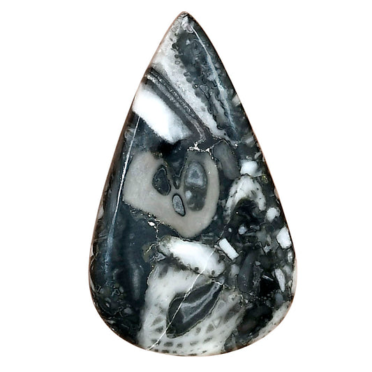 Orthoceras 37.25x22.45x4.5 mm Pear Gemstone LS02806-44
