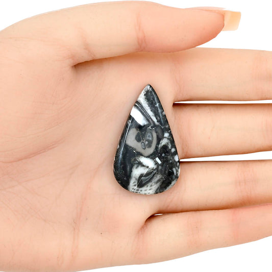 Orthoceras 37.25x22.45x4.5 mm Pear Gemstone LS02806-44