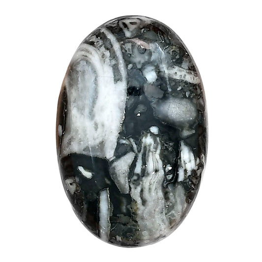 Orthoceras 30x19.6x6 mm Oval Gemstone LS02809-44