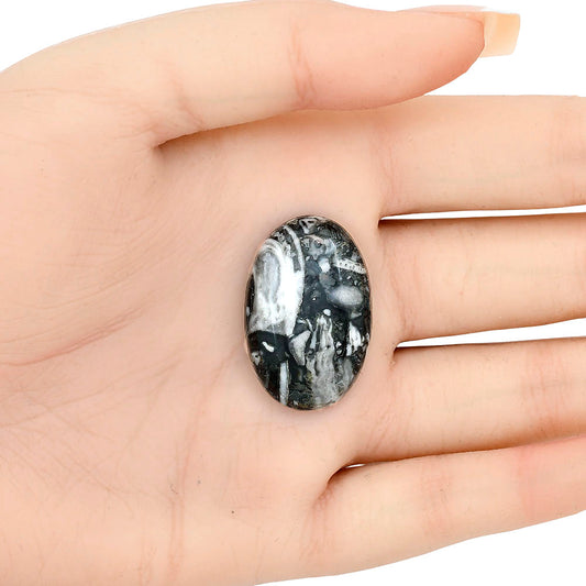 Orthoceras 30x19.6x6 mm Oval Gemstone LS02809-44