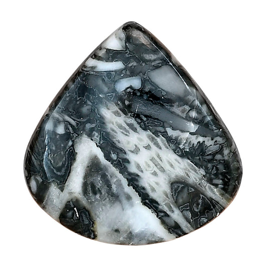 Orthoceras 29.6x28.8x5 mm Heart Gemstone LS02810-44