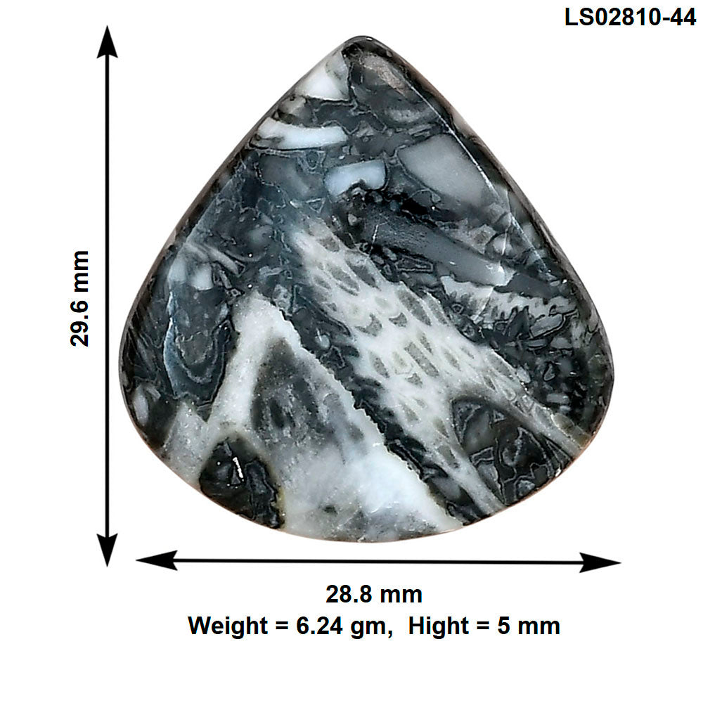 Orthoceras 29.6x28.8x5 mm Heart Gemstone LS02810-44