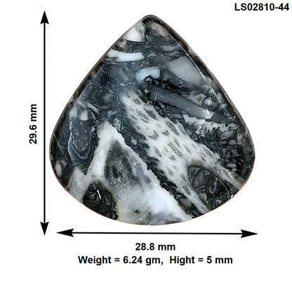 Orthoceras 29.6x28.8x5 mm Heart Gemstone LS02810-44