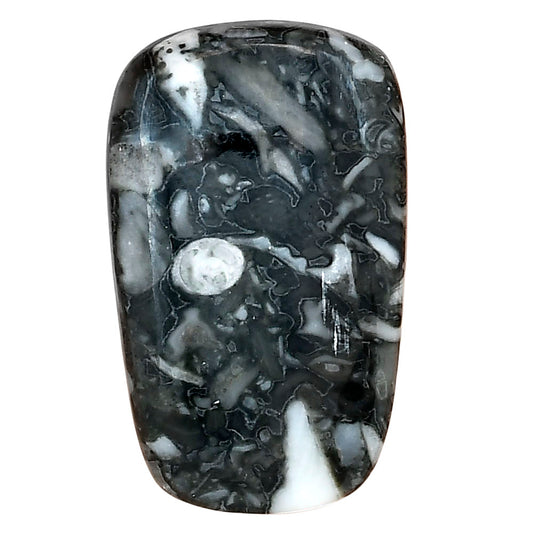 Orthoceras 34x20.8x5.5 mm Fancy Gemstone LS02811-44