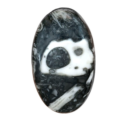 Orthoceras 30.7x18.65x6 mm Oval Gemstone LS02814-44
