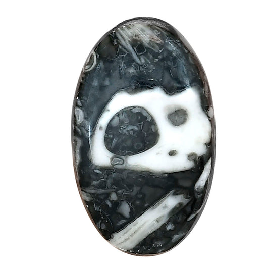 Orthoceras 30.7x18.65x6 mm Oval Gemstone LS02814-44