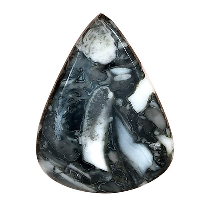 Orthoceras 30.8x23.45x4 mm Pear Gemstone LS02815-44