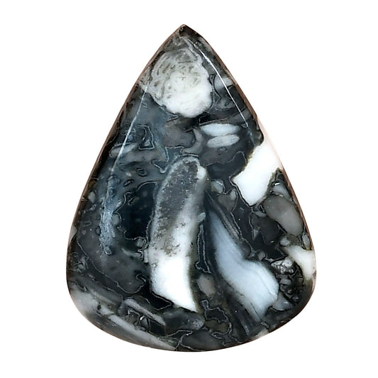 Orthoceras 30.8x23.45x4 mm Pear Gemstone LS02815-44