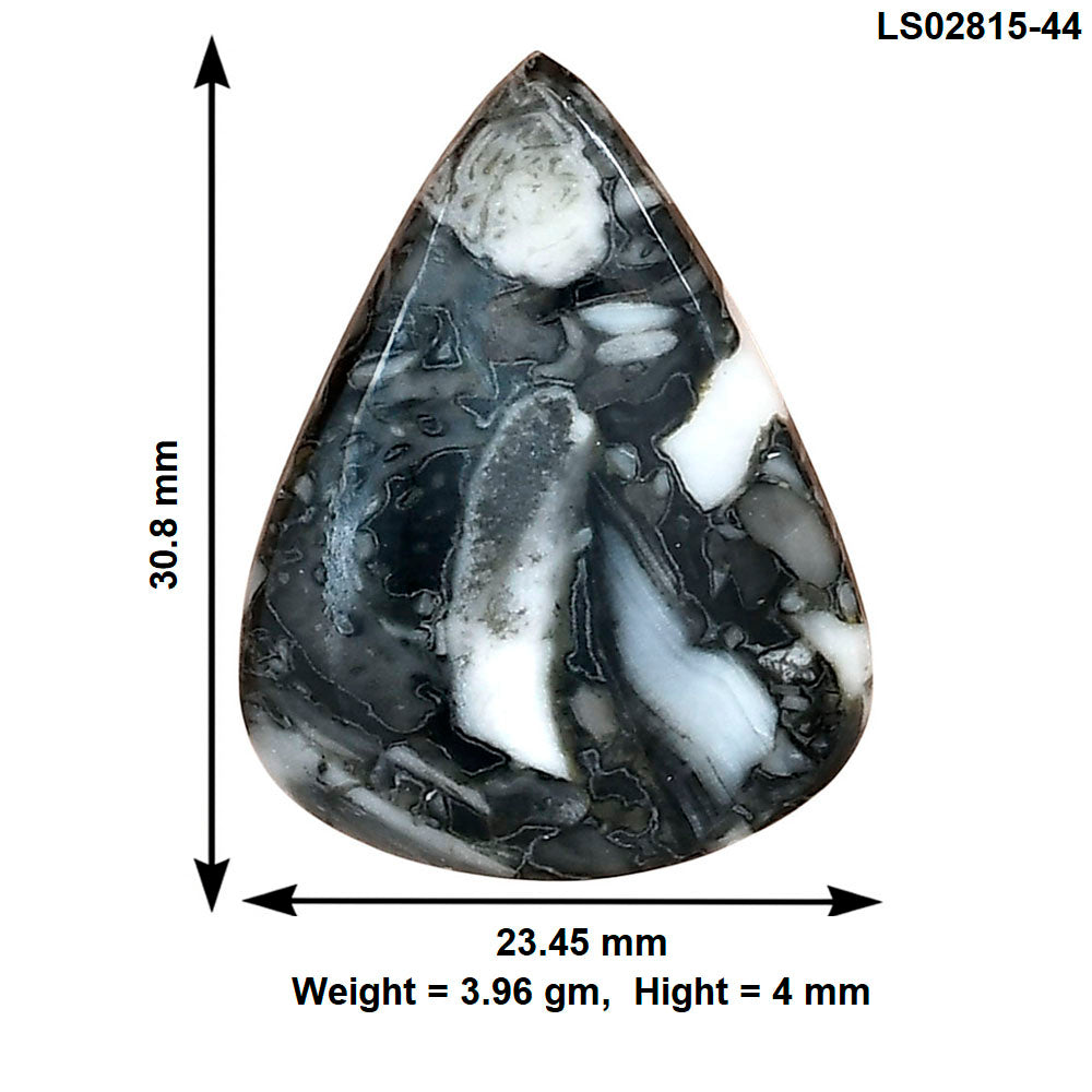 Orthoceras 30.8x23.45x4 mm Pear Gemstone LS02815-44