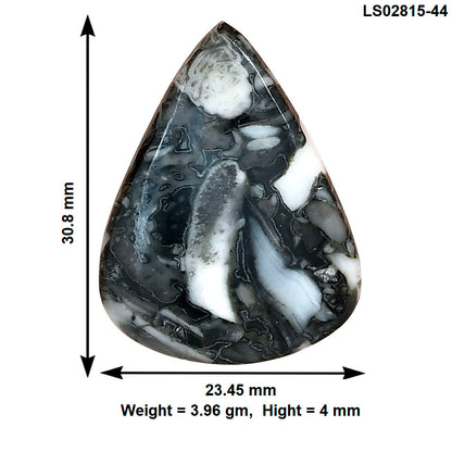 Orthoceras 30.8x23.45x4 mm Pear Gemstone LS02815-44