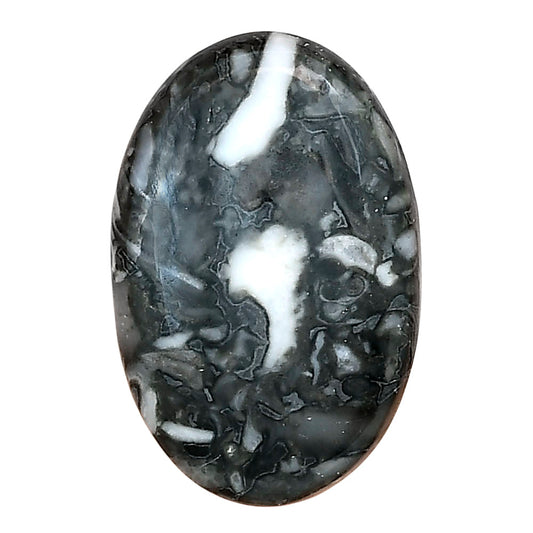 Orthoceras 29.7x19.4x5 mm Oval Gemstone LS02816-44