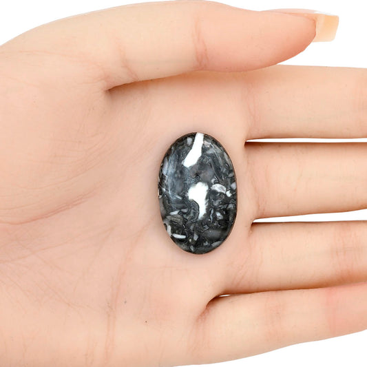 Orthoceras 29.7x19.4x5 mm Oval Gemstone LS02816-44