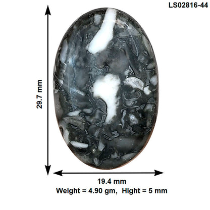 Orthoceras 29.7x19.4x5 mm Oval Gemstone LS02816-44