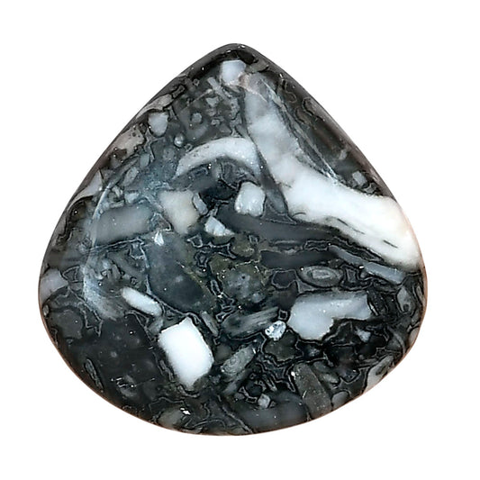 Orthoceras 26x25.6x5 mm Heart Gemstone LS02817-44