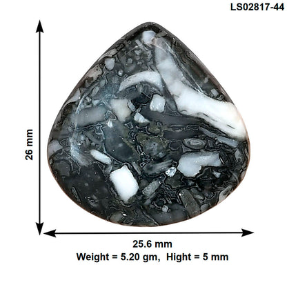 Orthoceras 26x25.6x5 mm Heart Gemstone LS02817-44
