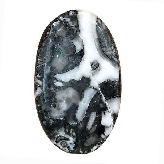 Orthoceras 32.5x19.6x4.5 mm Oval Gemstone LS02818-44