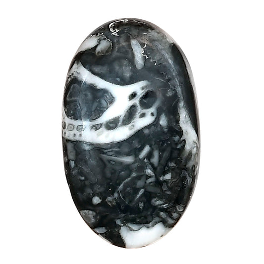 Orthoceras 30.25x18.25x6 mm Oval Gemstone LS02819-44