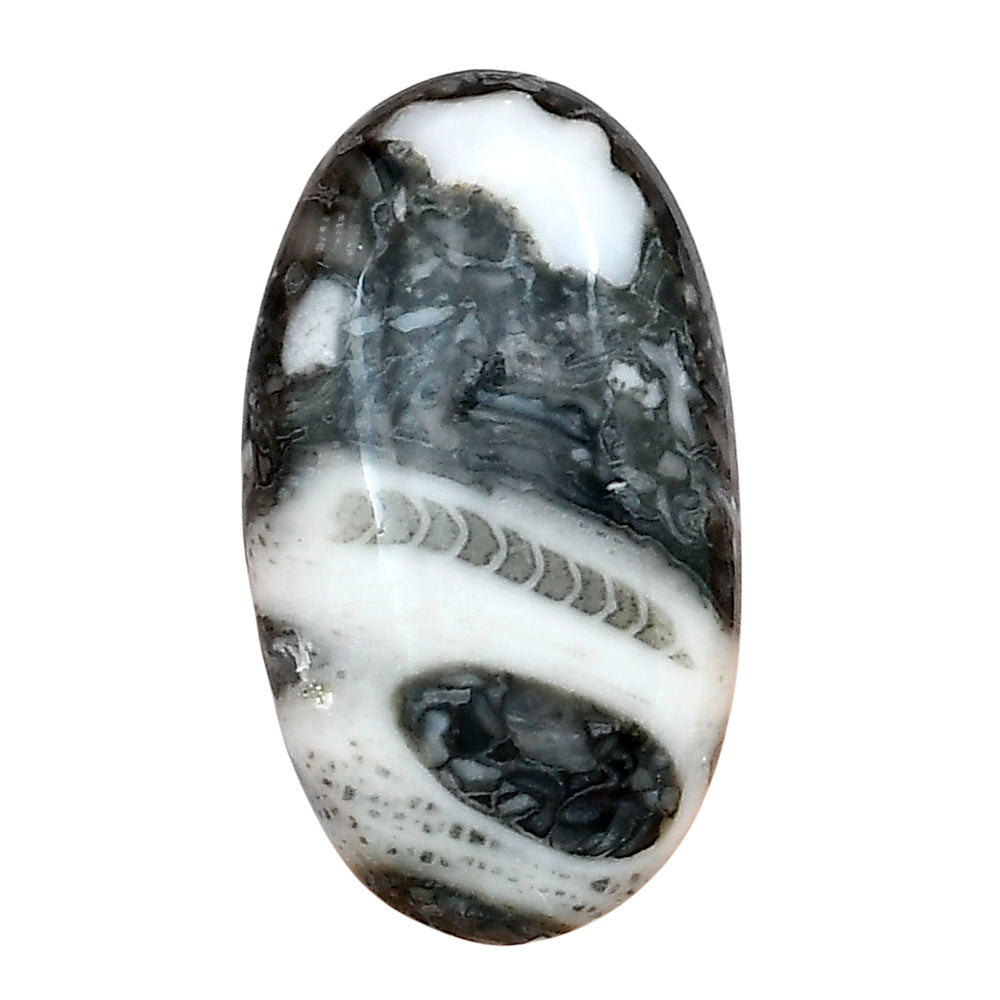 Orthoceras 32.1x18.35x6 mm Oval Gemstone LS02820-44