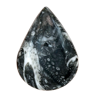 Orthoceras 29.9x22.1x6 mm Pear Gemstone LS02821-44