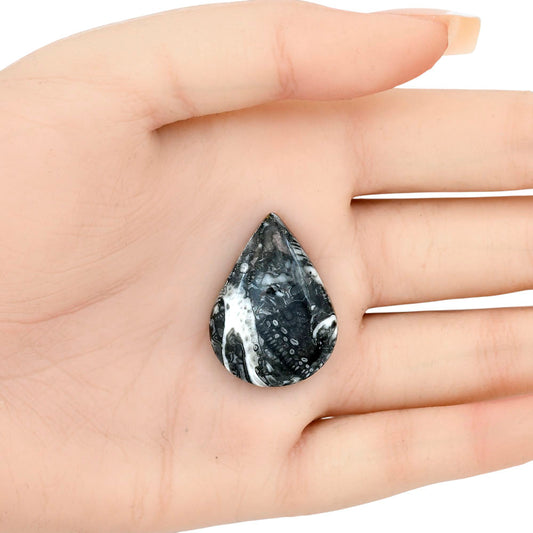 Orthoceras 29.9x22.1x6 mm Pear Gemstone LS02821-44