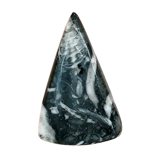 Orthoceras 27.35x17.3x4.5 mm Fancy Gemstone LS02822-44