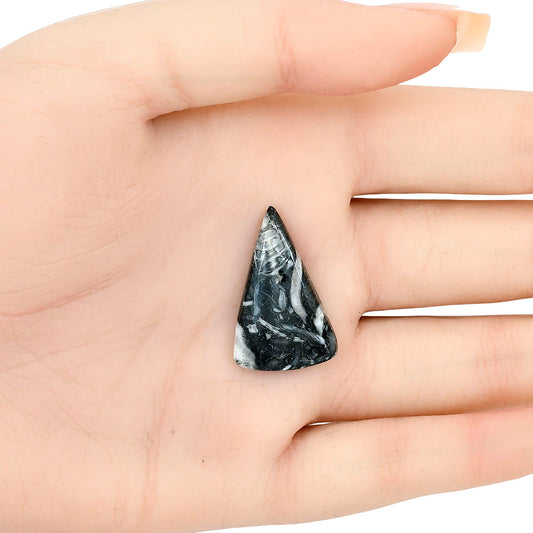 Orthoceras 27.35x17.3x4.5 mm Fancy Gemstone LS02822-44