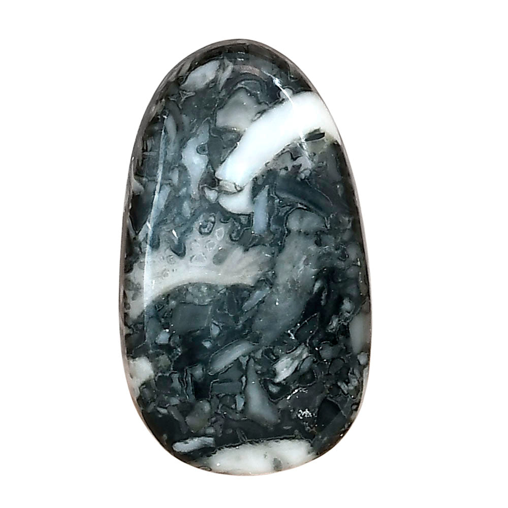 Orthoceras 31.55x18.35x5 mm Fancy Gemstone LS02823-44