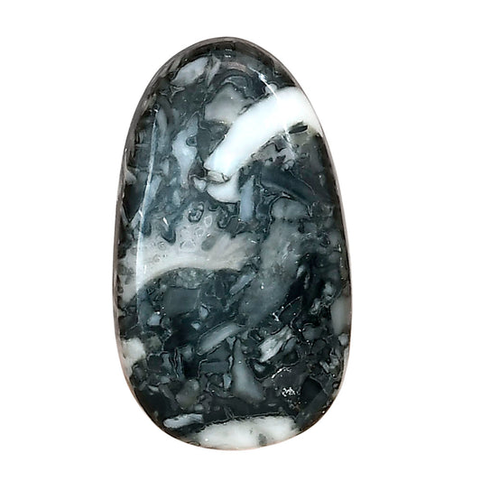 Orthoceras 31.55x18.35x5 mm Fancy Gemstone LS02823-44