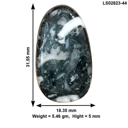 Orthoceras 31.55x18.35x5 mm Fancy Gemstone LS02823-44