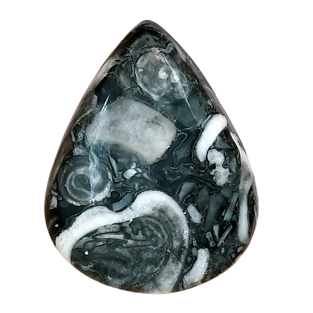 Orthoceras 29.65x23.1x6.5 mm Pear Gemstone LS02826-44