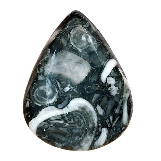 Orthoceras 29.65x23.1x6.5 mm Pear Gemstone LS02826-44