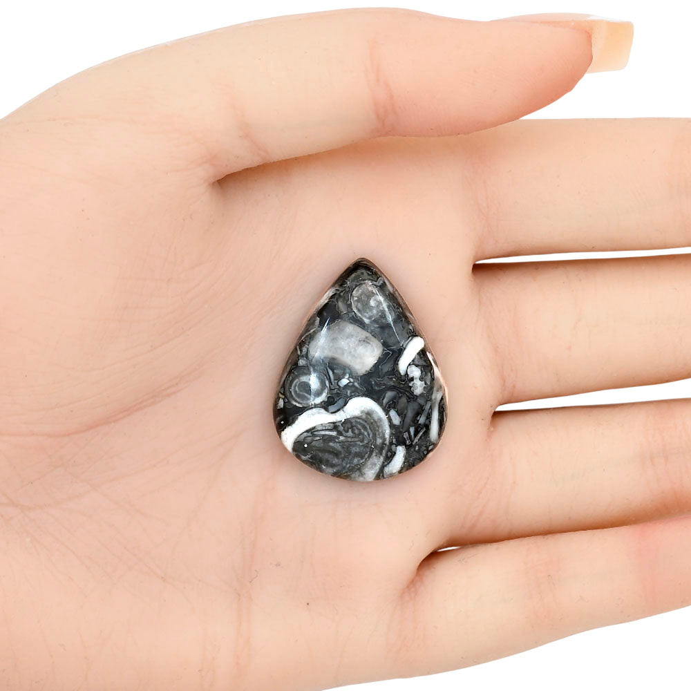 Orthoceras 29.65x23.1x6.5 mm Pear Gemstone LS02826-44