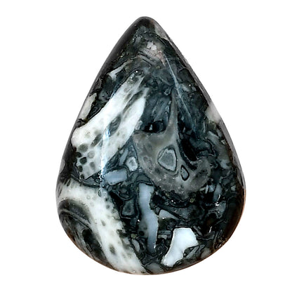 Orthoceras 30.5x22.45x6.5 mm Pear Gemstone LS02827-44