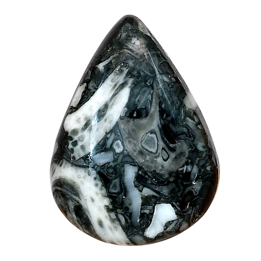 Orthoceras 30.5x22.45x6.5 mm Pear Gemstone LS02827-44