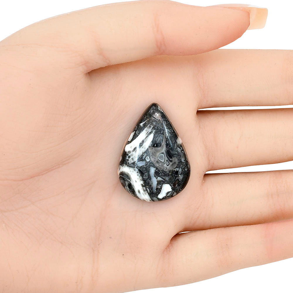 Orthoceras 30.5x22.45x6.5 mm Pear Gemstone LS02827-44