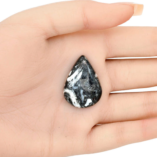 Orthoceras 30.5x22.45x6.5 mm Pear Gemstone LS02827-44