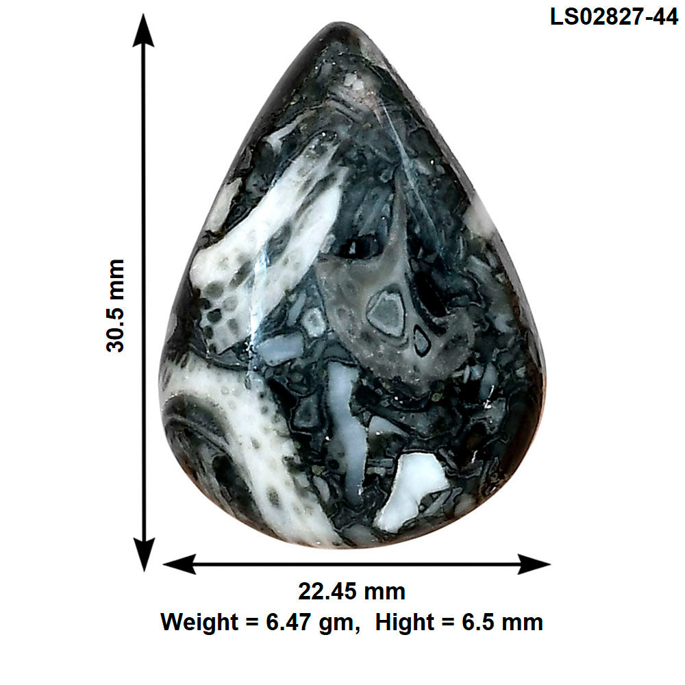 Orthoceras 30.5x22.45x6.5 mm Pear Gemstone LS02827-44