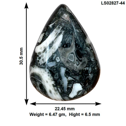 Orthoceras 30.5x22.45x6.5 mm Pear Gemstone LS02827-44