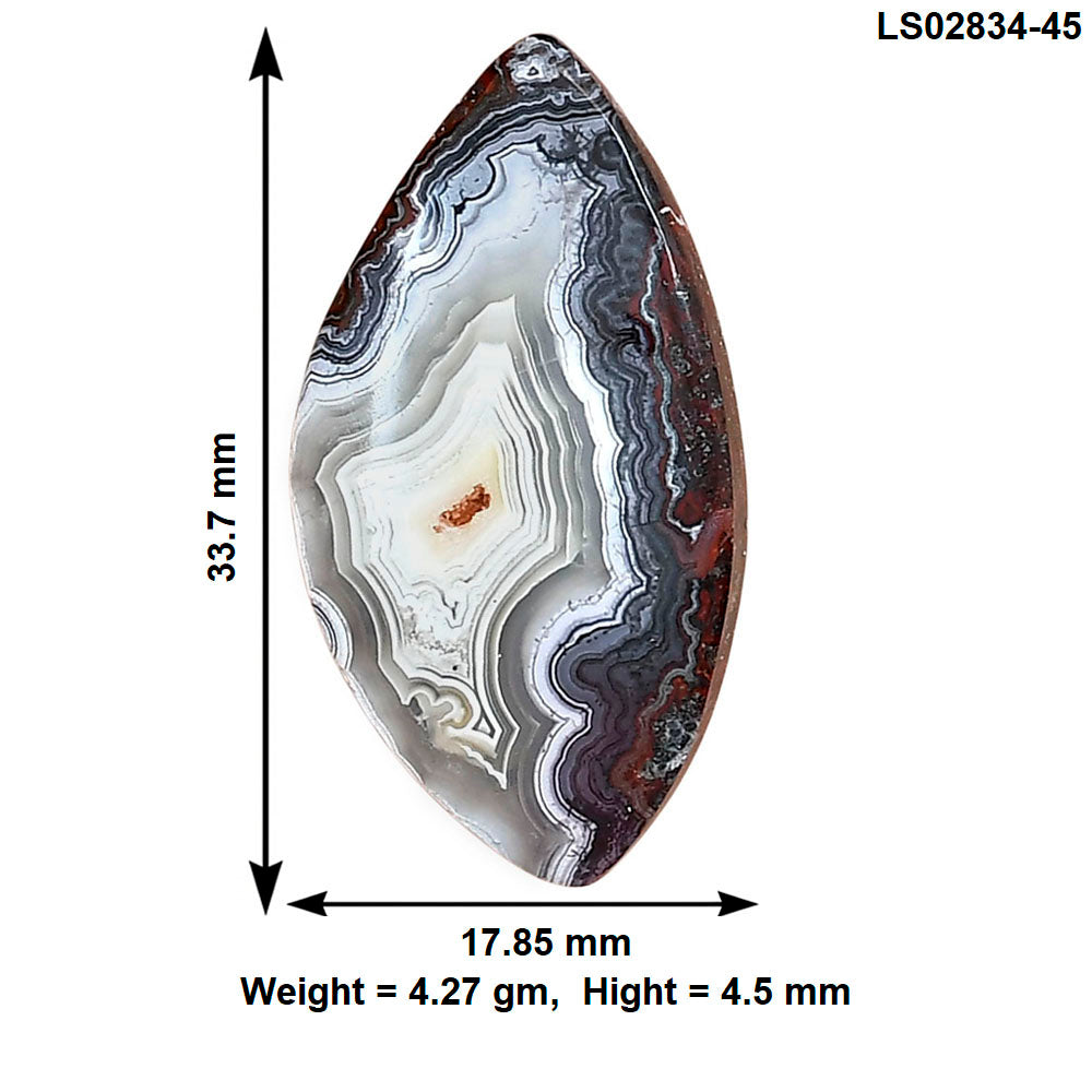 Laguna Lace Agate 33.7x17.85x4.5 mm Fancy Gemstone LS02834-45