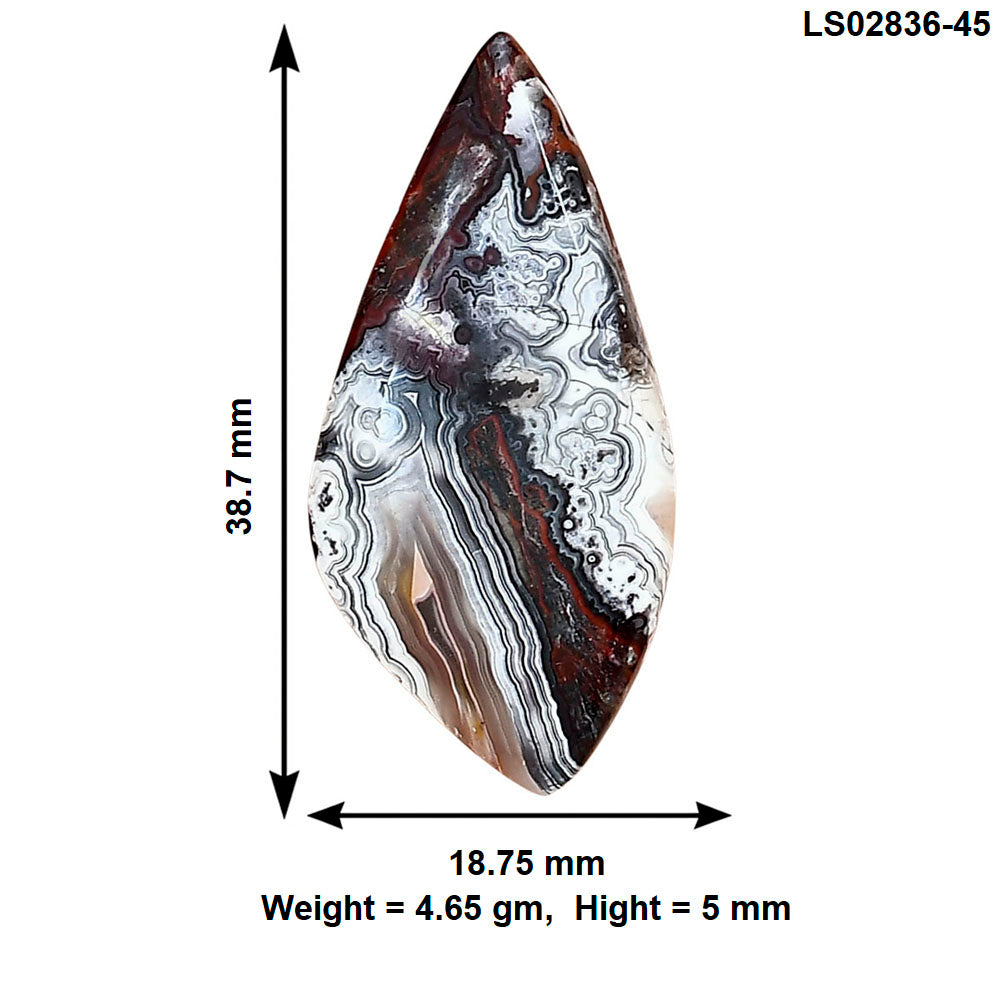 Laguna Lace Agate 38.7x18.75x5 mm Fancy Gemstone LS02836-45