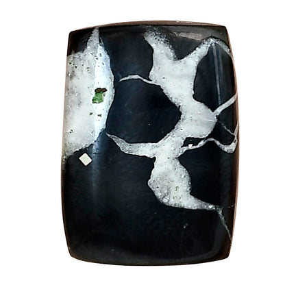 Black Septarian 21.3x15.45x4 mm Baguette Gemstone LS02874-47
