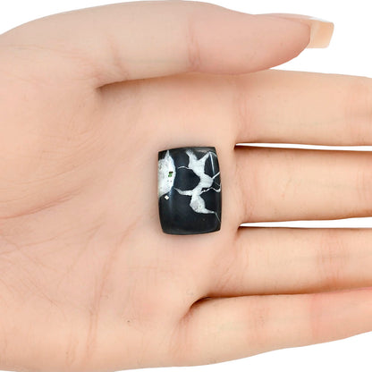 Black Septarian 21.3x15.45x4 mm Baguette Gemstone LS02874-47